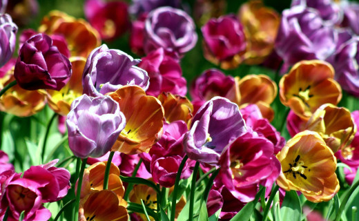 541309 (a): :2800x1720